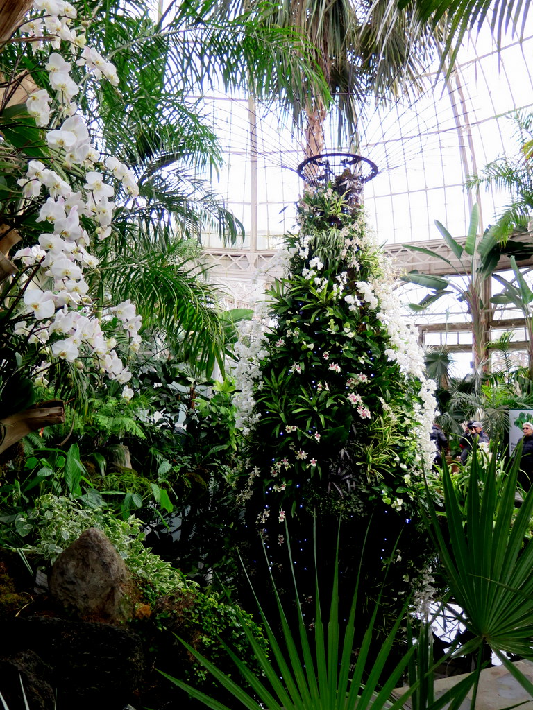 The Orchid Show: Singapore, 17th Annual Orchid Show, NYBG, Enid A. Haupt Conservatory, Singapore