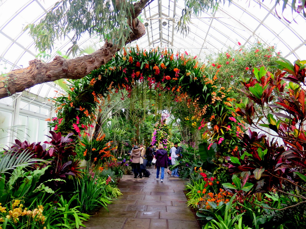 The Orchid Show: Singapore, 17th Annual Orchid Show, NYBG, Enid A. Haupt Conservatory, Singapore