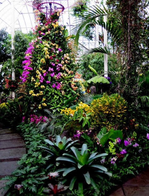 The Orchid Show: Singapore, 17th Annual Orchid Show, NYBG, Enid A. Haupt Conservatory, Singapore