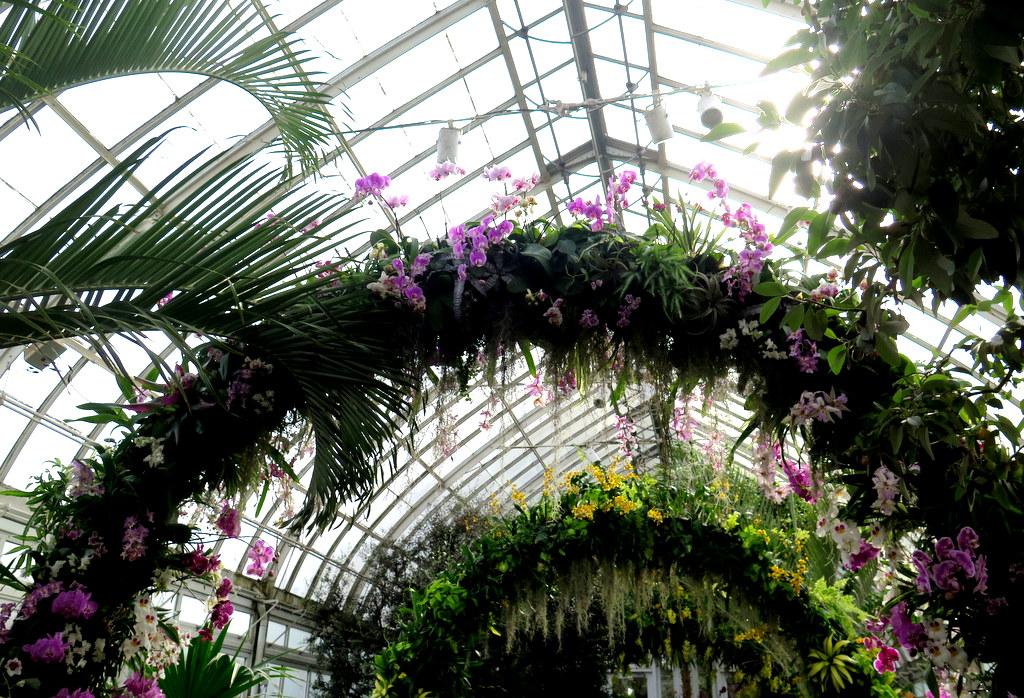 The Orchid Show: Singapore, 17th Annual Orchid Show, NYBG, Enid A. Haupt Conservatory, Singapore