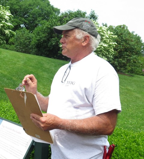 NYBG, Peggy Rockefeller Rose Garden, Stephen Scanniello, Curator of Roses