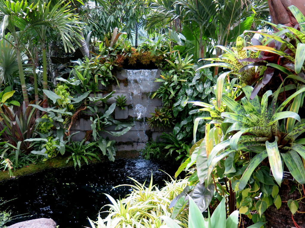 'Brazilian Modern" The Living Art of Roberto Burle Marx,' NYBG Installation (June 8-September 29)