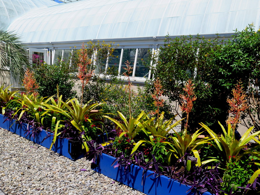 Bromeliads, Water Garden, 'Brazilian Modern" The Living Art of Roberto Burle Marx,' NYBG Installation (June 8-September 29)