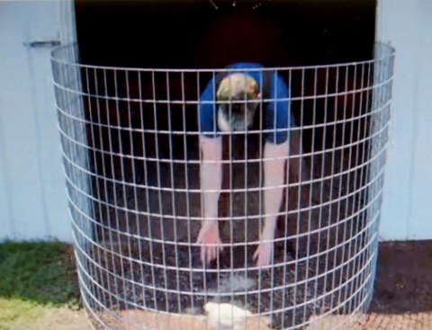 Morgan Spurlock, Super Size Me 2: Holy Chicken!