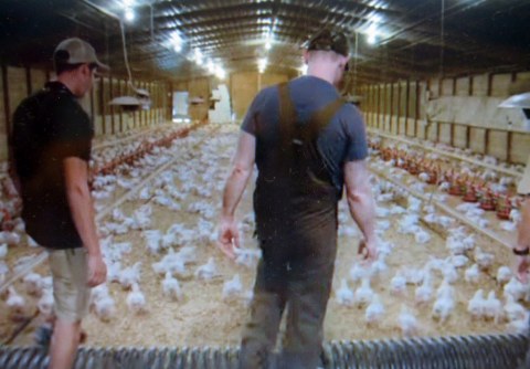 Morgan Spurlock, Super Size Me 2: Holy Chicken!