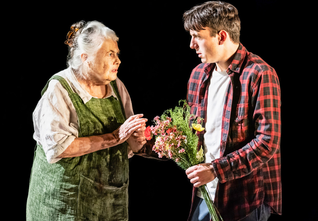 Lois Smith, Samuel H. Levine, The Inheritance Matthew Lopez, Stephen Daldry, Bob Crowley,