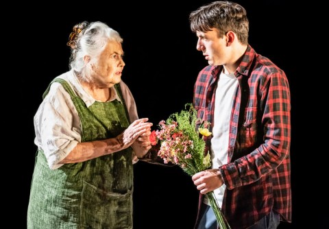 Lois Smith, Samuel H. Levine, The Inheritance Matthew Lopez, Stephen Daldry, Bob Crowley,