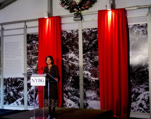 Carrie Rebora Barratt, Ph.D., New York Botanical Garden, Holiday Train Show 2019