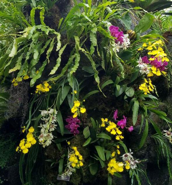 The Orchid Show: Jeff Leatham's Kaleidoscope, NYBG 18th Orchid Show, Jeff Leatham