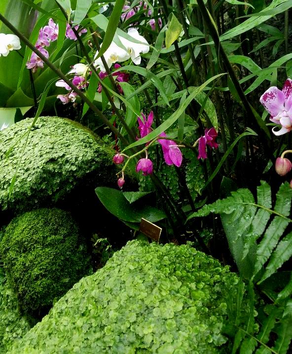 The Orchid Show: Jeff Leatham's Kaleidoscope, NYBG 18th Orchid Show, Jeff Leatham