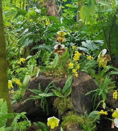 The Orchid Show: Jeff Leatham's Kaleidoscope, NYBG 18th Orchid Show, Jeff Leatham