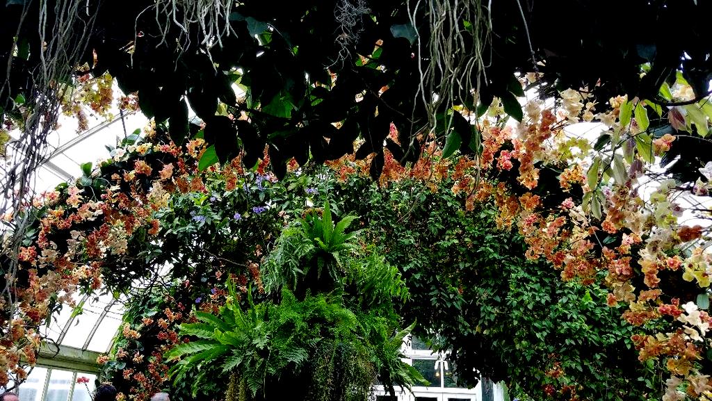 The Orchid Show: Jeff Leatham's Kaleidoscope, NYBG 18th Orchid Show, Jeff Leatham