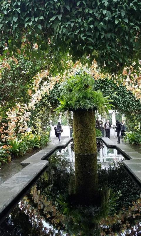 The Orchid Show: Jeff Leatham's Kaleidoscope, NYBG 18th Orchid Show, Jeff Leatham