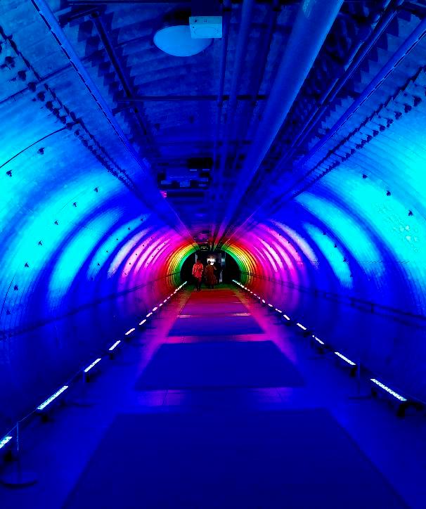 The Orchid Show: Jeff Leatham's Kaleidoscope, NYBG 18th Orchid Show, Jeff Leatham