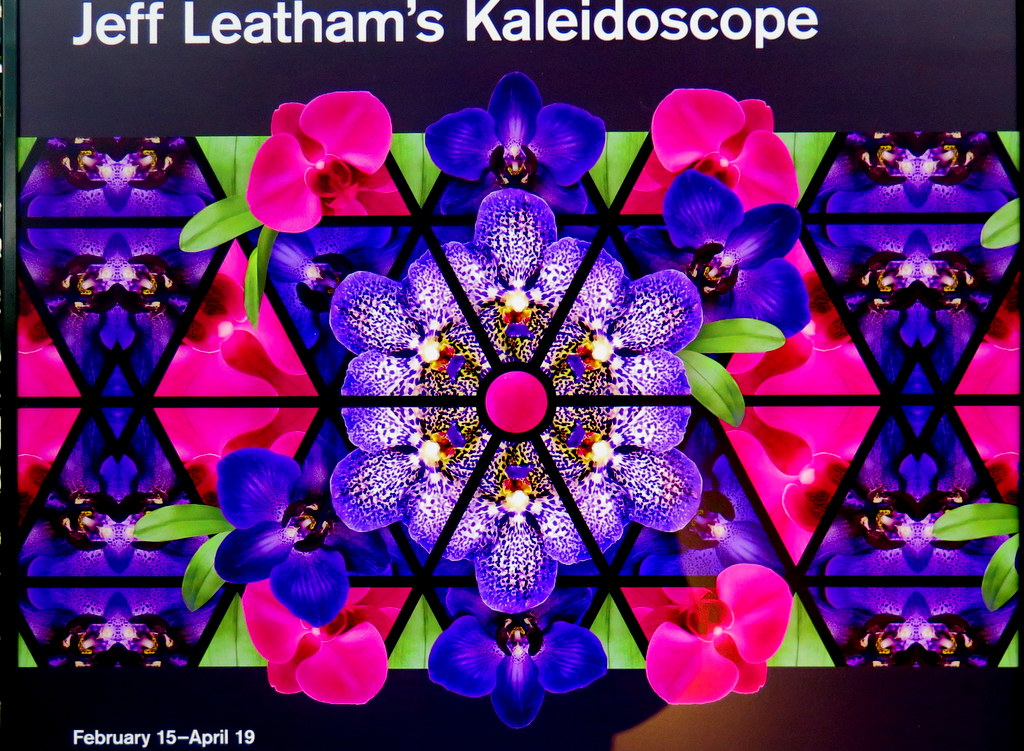 The Orchid Show: Jeff Leatham's Kaleidosope, NYBG 18th Orchid Show, Jeff Leatham