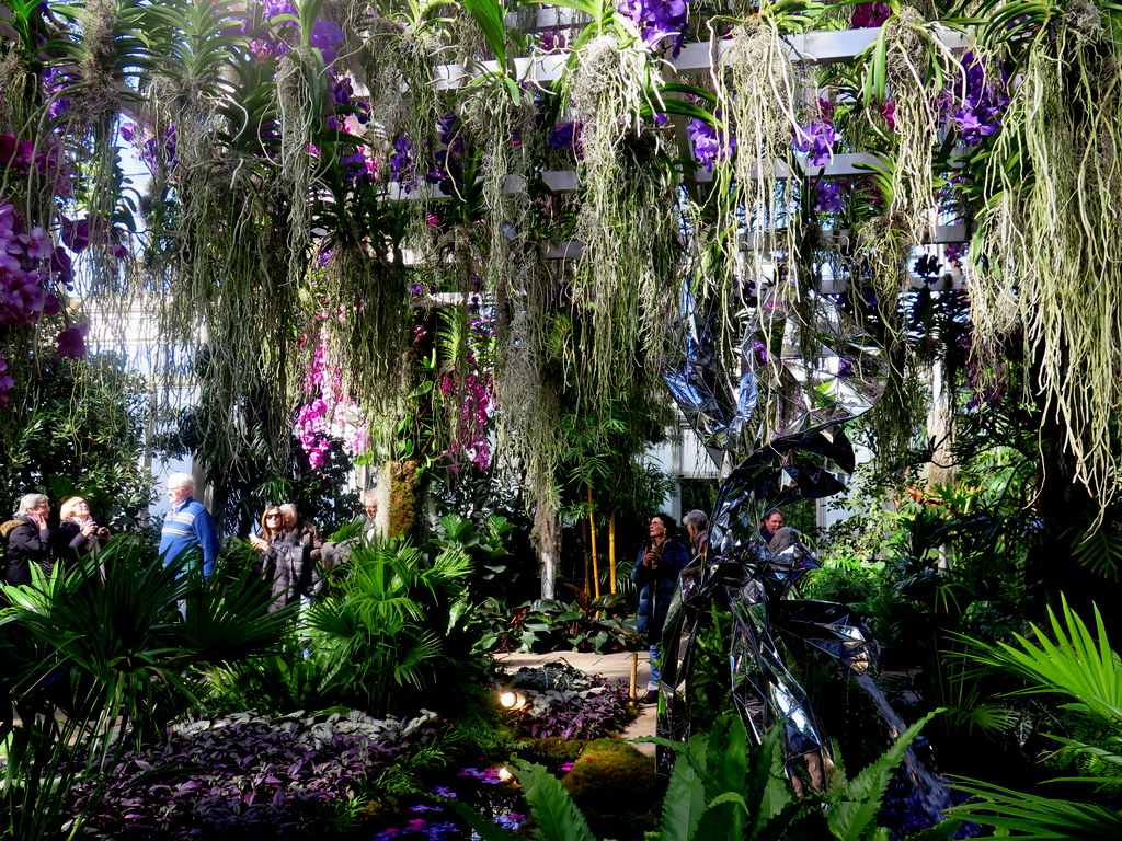 The Orchid Show: Jeff Leatham's Kaleidoscope, NYBG 18th Orchid Show, Jeff Leatham