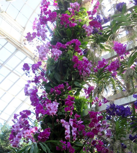 The Orchid Show: Jeff Leatham's Kaleidoscope, NYBG 18th Orchid Show, Jeff Leatham