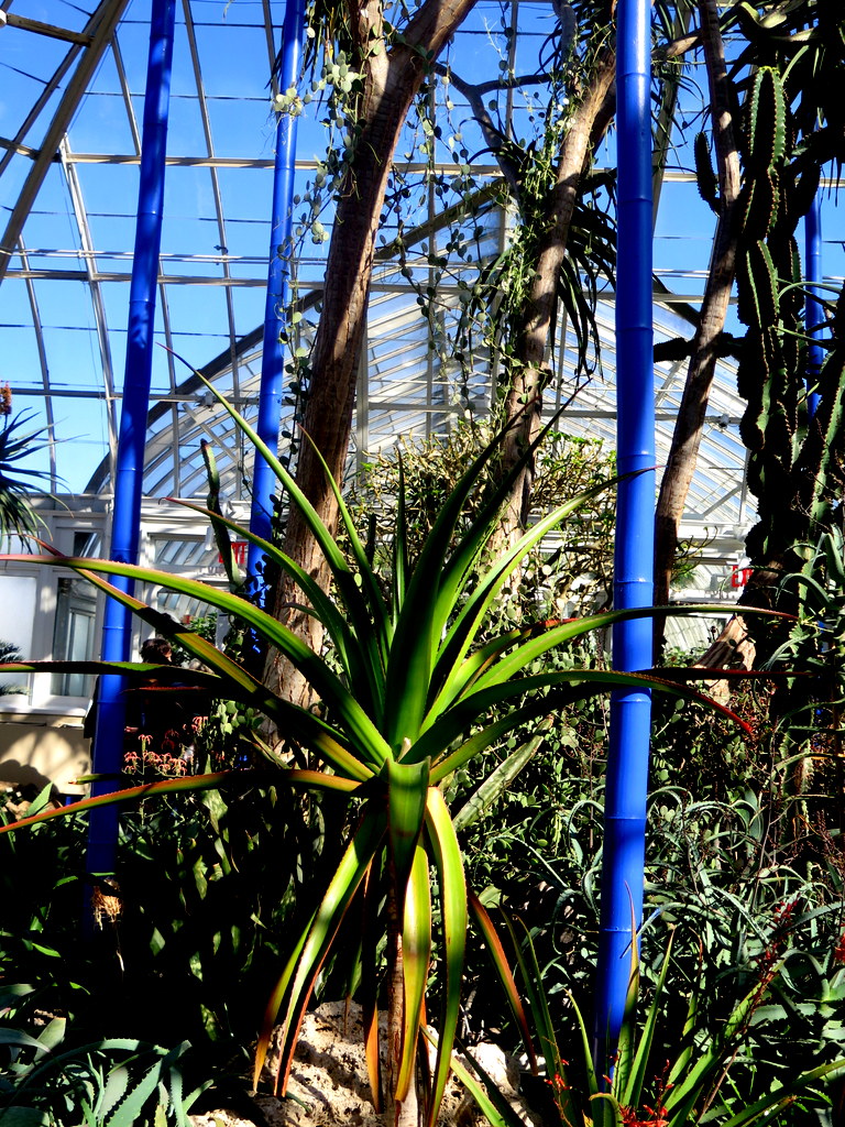 The Orchid Show: Jeff Leatham's Kaleidoscope, NYBG 18th Orchid Show, Jeff Leatham