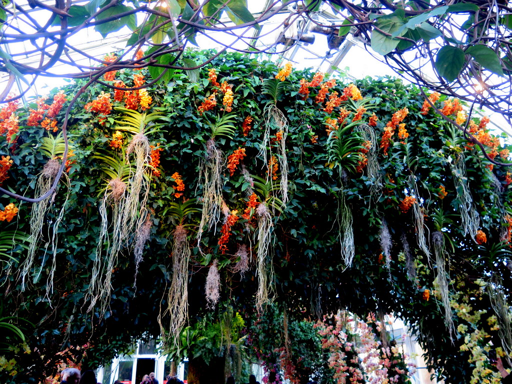 The Orchid Show: Jeff Leatham's Kaleidoscope, NYBG 18th Orchid Show, Jeff Leatham, NYBG