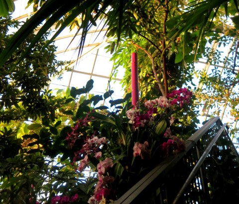 The Orchid Show: Jeff Leatham's Kaleidoscope, NYBG 18th Orchid Show, Jeff Leatham, NYBG