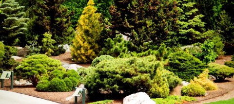 NYBG, Journey Through Spring II, Todd Forrest COVID-19 closure, Facebook Watch Party