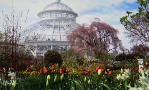 NYBG, Journey Through Spring II, Todd Forrest COVID-19 closure, Facebook Watch Party
