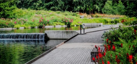 NYBG, Native Plant Garden