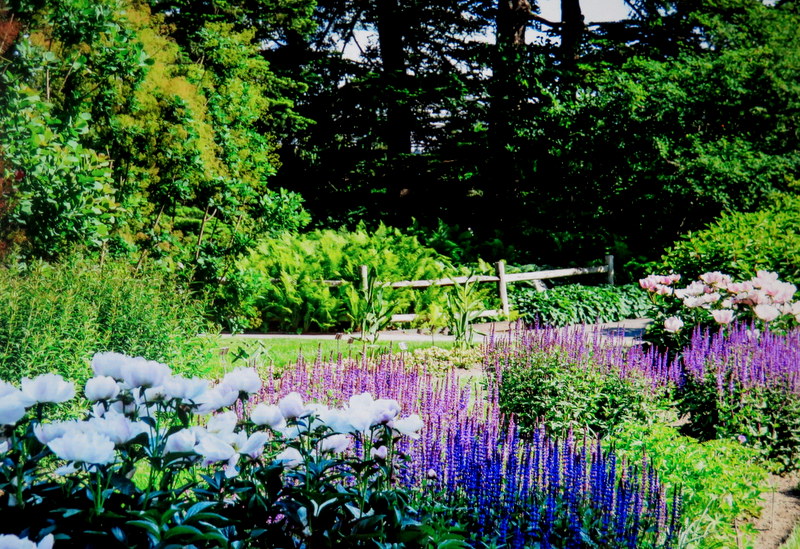 Home Gardening Center, NYBG,New York Forward Phase Four, Governor Cuomo, Appreciation Week