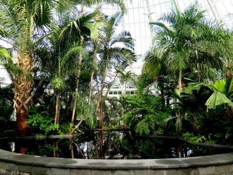 NYBG, Enid A. Haupt Conservatory