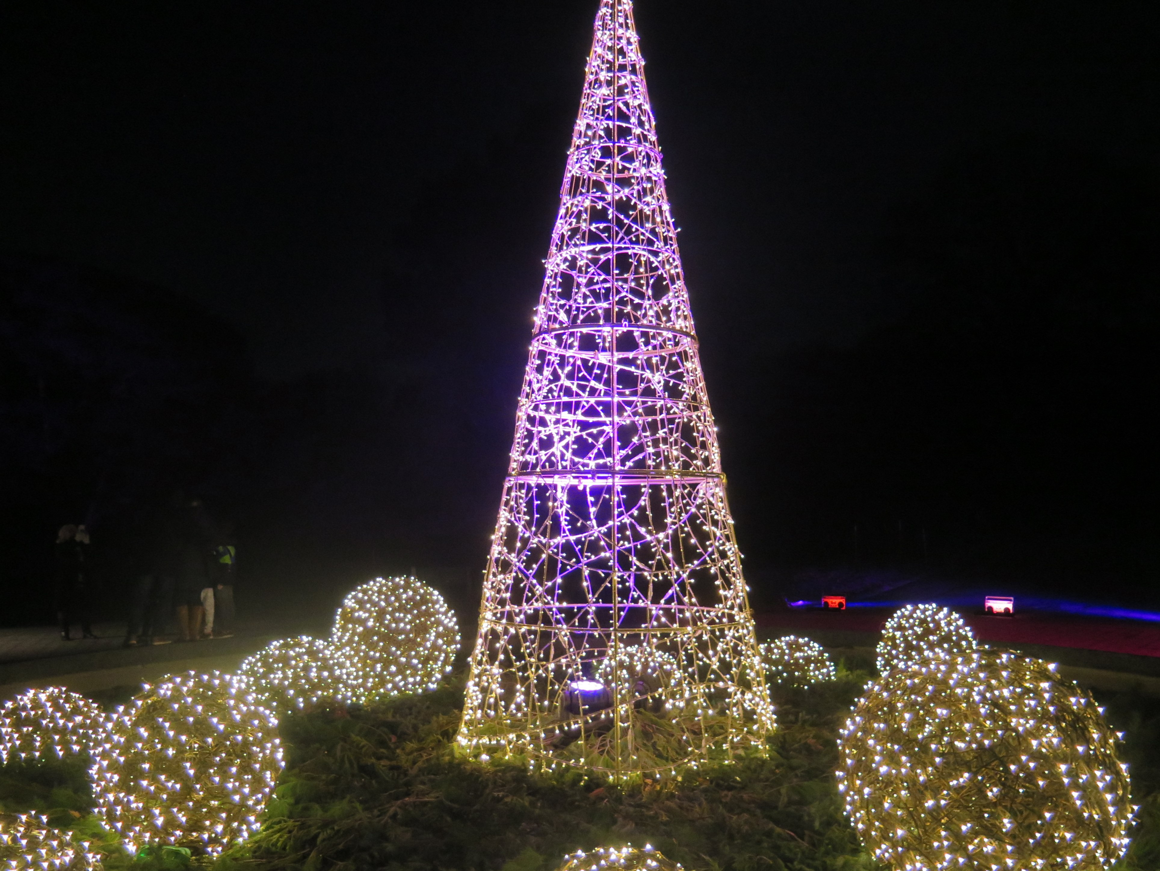 NYBG Glow (Carole Di Tosti)