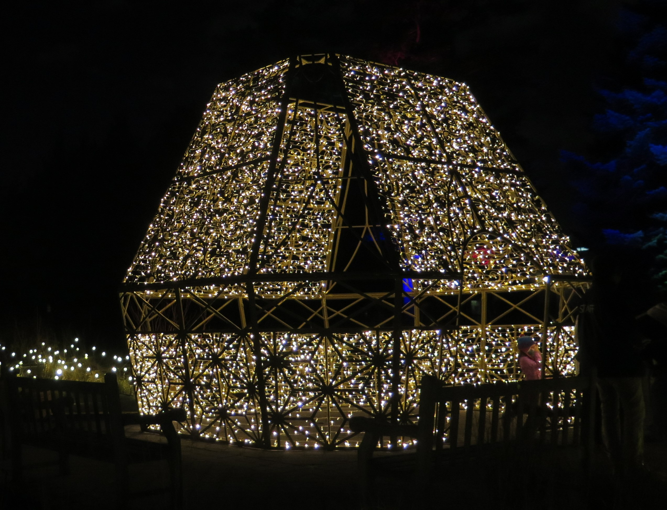 NYBG Glow (Carole Di Tosti)