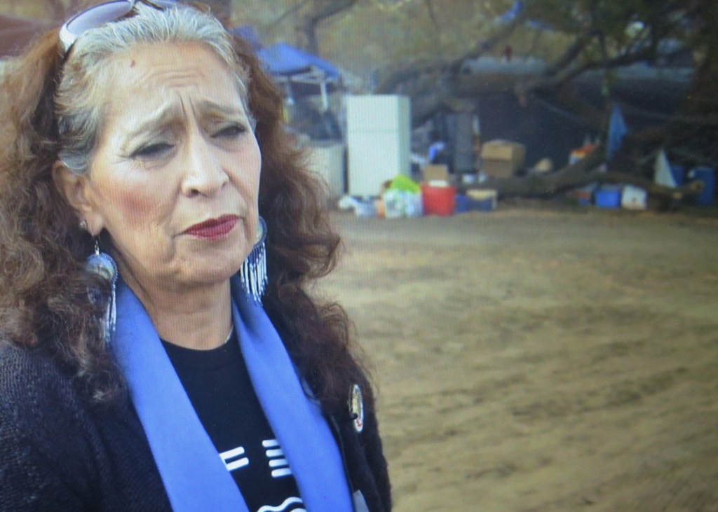 LaDonna Brave Bull Allard in 'End of The Line: The Women of Standing Rock,' directed by Shannon Kring, Athena Film Festival (courtesy of the film)