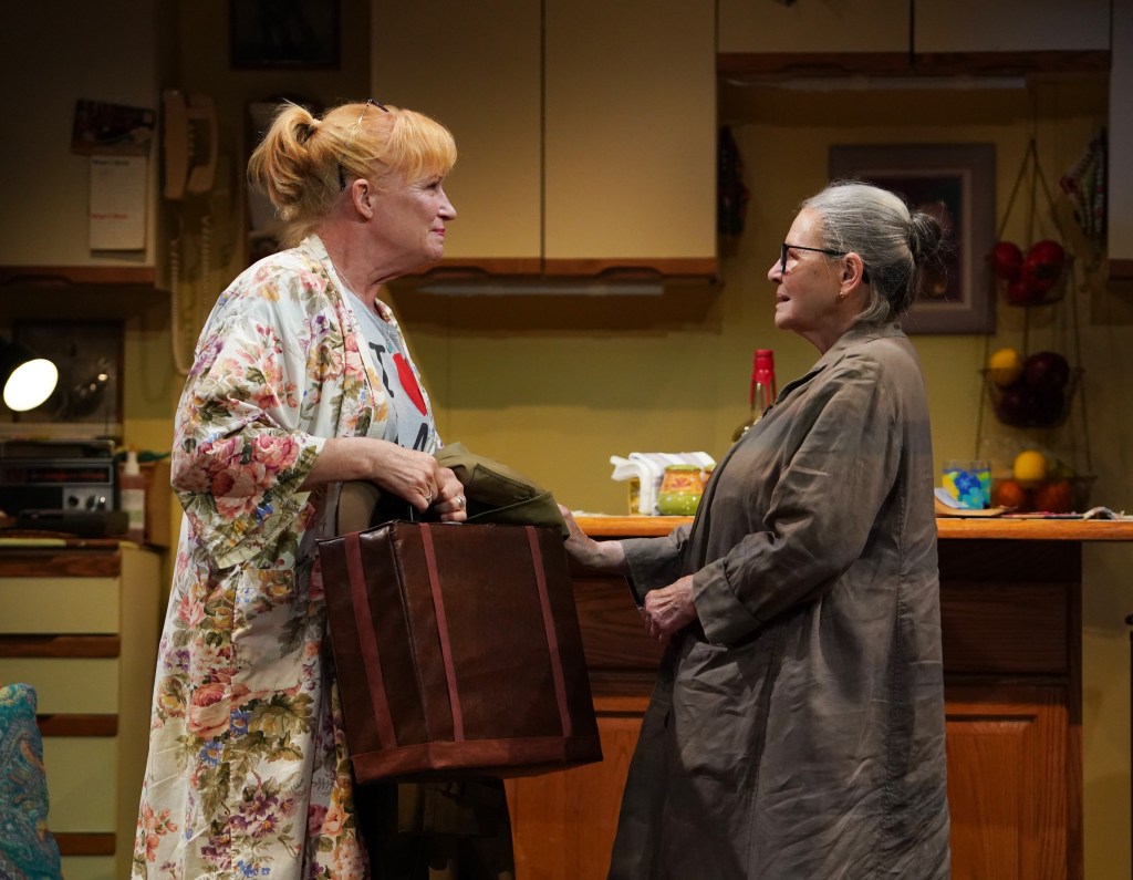 (L to R): Johanna Day, Dianne Wiest in Scene Partners (Carol Rosegg)