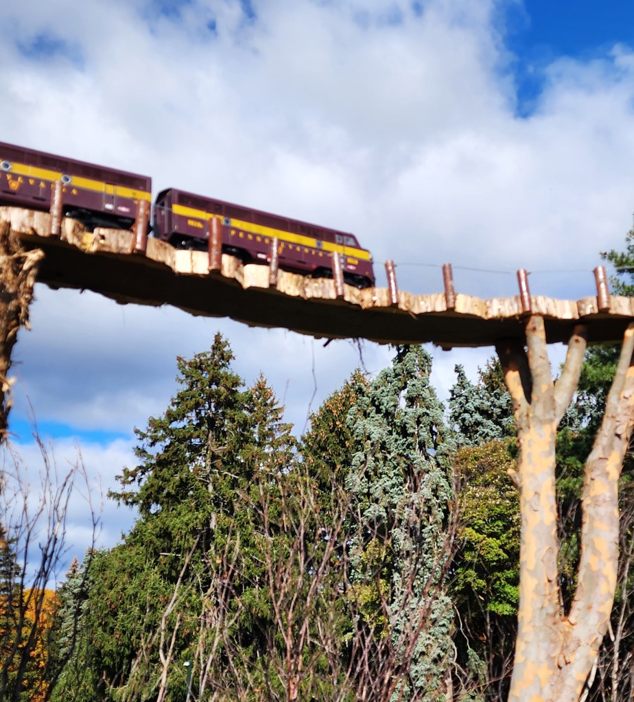  Outdoor landscape, train trestle, on the NYBG Haupt Conservatory Lawn (C. Di Tosti)
