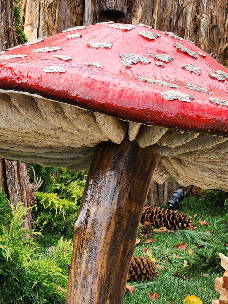 Fungi detail (remember this is not ceramic) Haupt Conservatory Lawn (C. Di Tosti