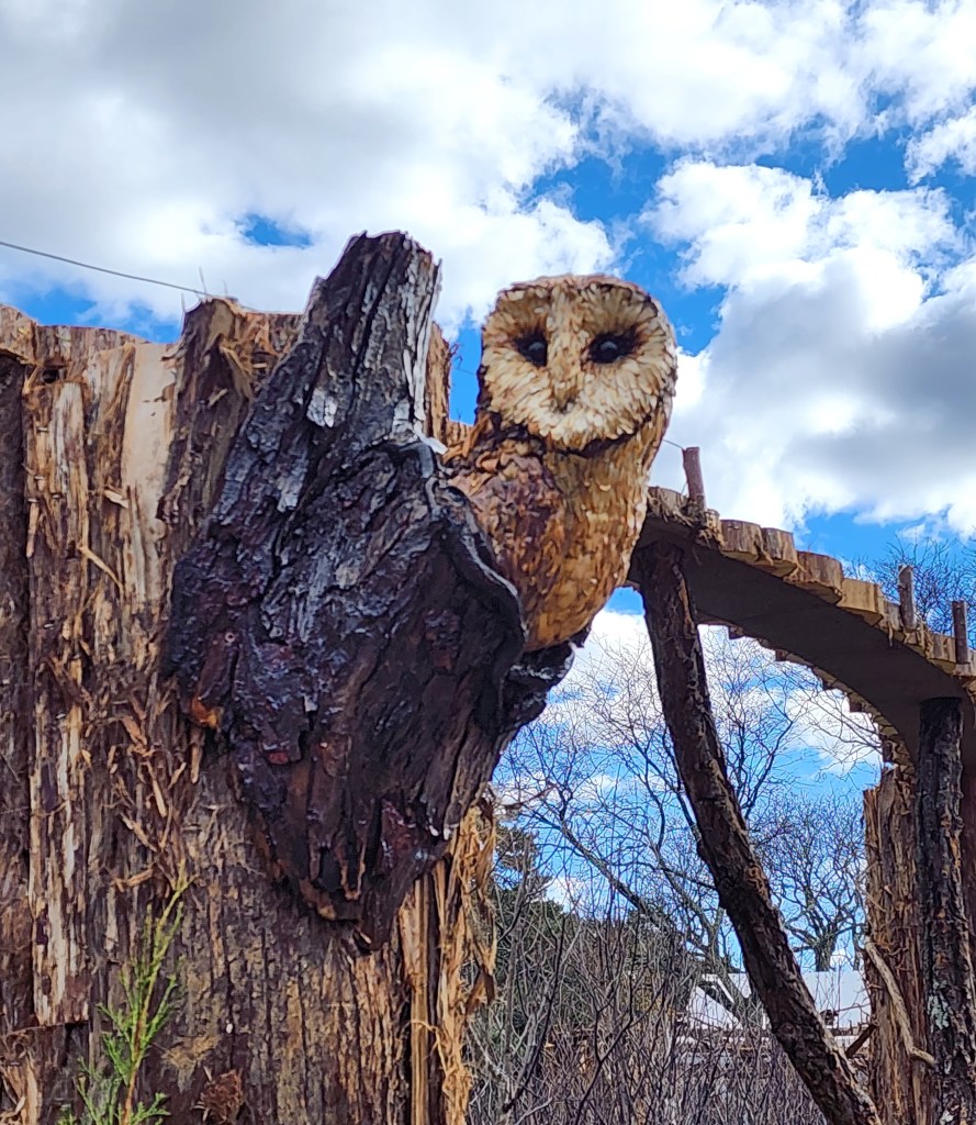Daytime view: the owl is made of artichokes (Carole Di Tosti)