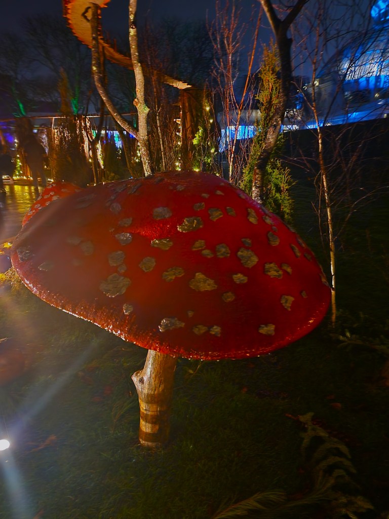 Fantastic fungi, outdoor landscape (Carole Di Tosti)