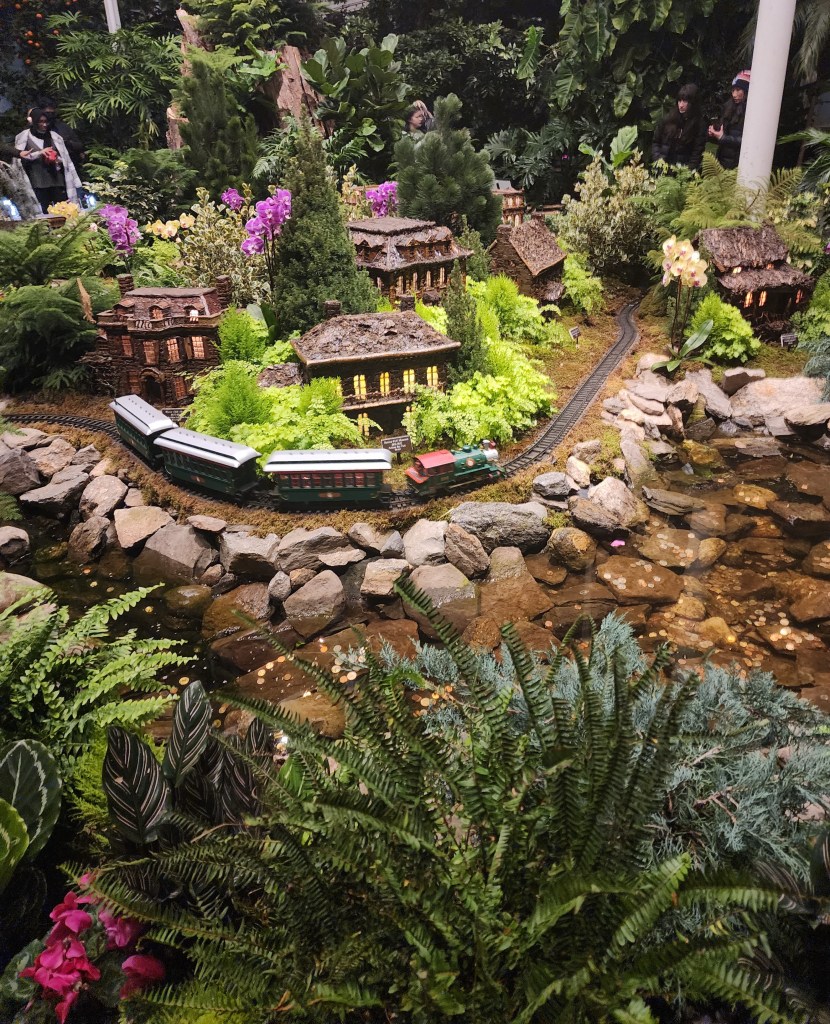 Rotunda Showcase (Carole Di Tosti)