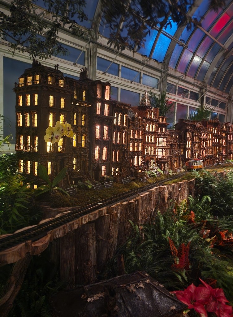 NYC row houses (Carole Di Tosti)