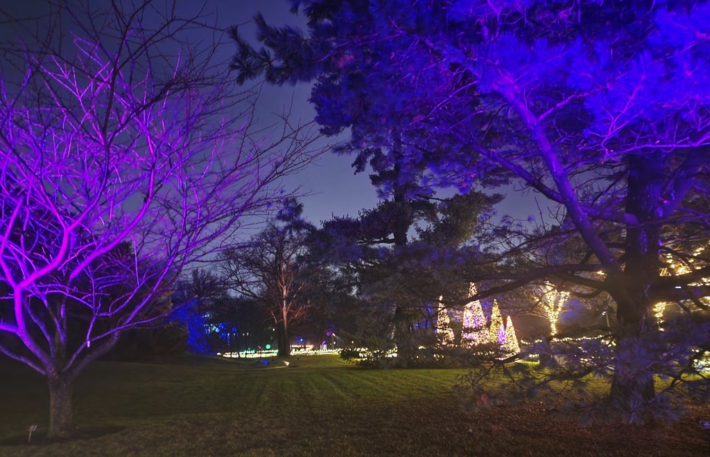 GLOW, Saturdays: January 6th and January 13th