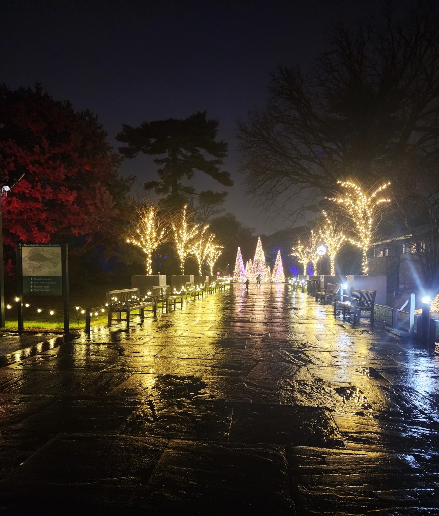 GLOW, Saturdays, January 6th and January 13th (Carole Di Tosti)