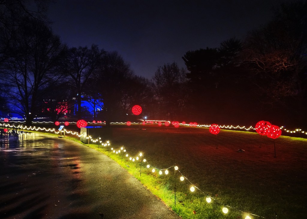 GLOW, January 6th and January 13th (Carole Di Tosti)