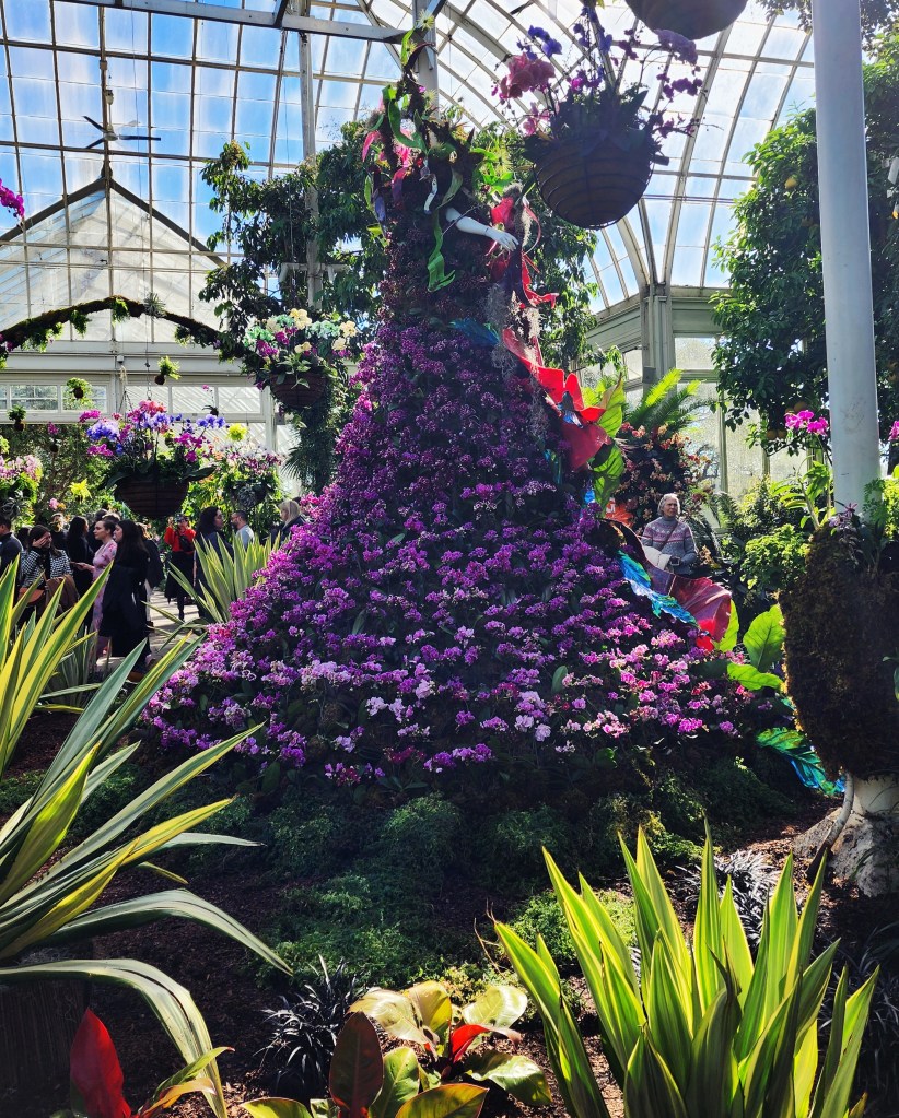 Kristen Alpaugh's Regina, a dramatic cape of Phalaenopsis, Seasonal Galleries, NYBG 'Florals in Fashion' (Carole Di Tosti)