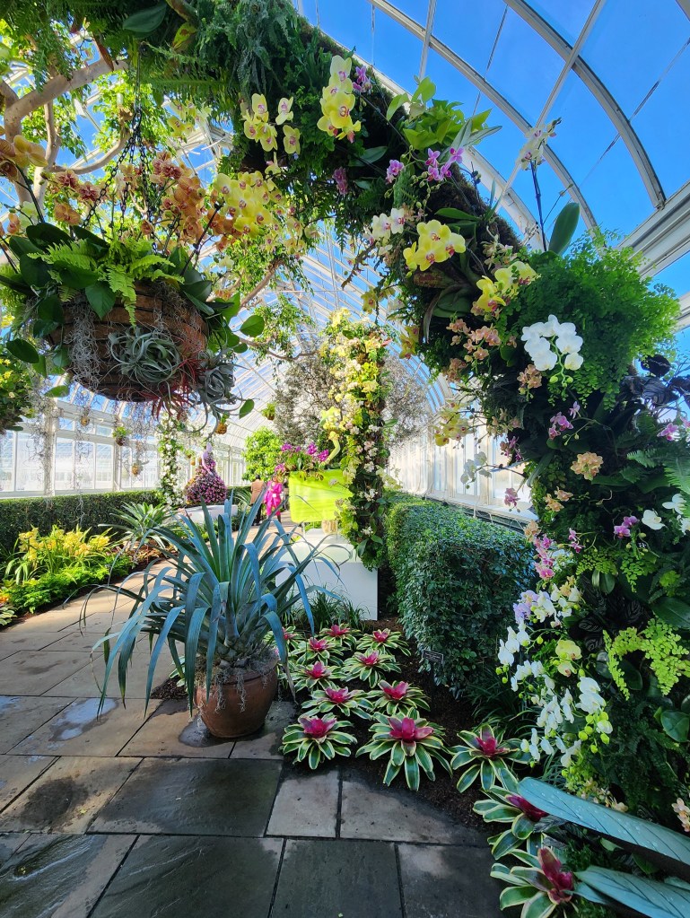 Gallery for Collina Strada's "Freeze-Frame" vignettes, NYBG 'Florals in Fashion' (Carole DI Tosti)