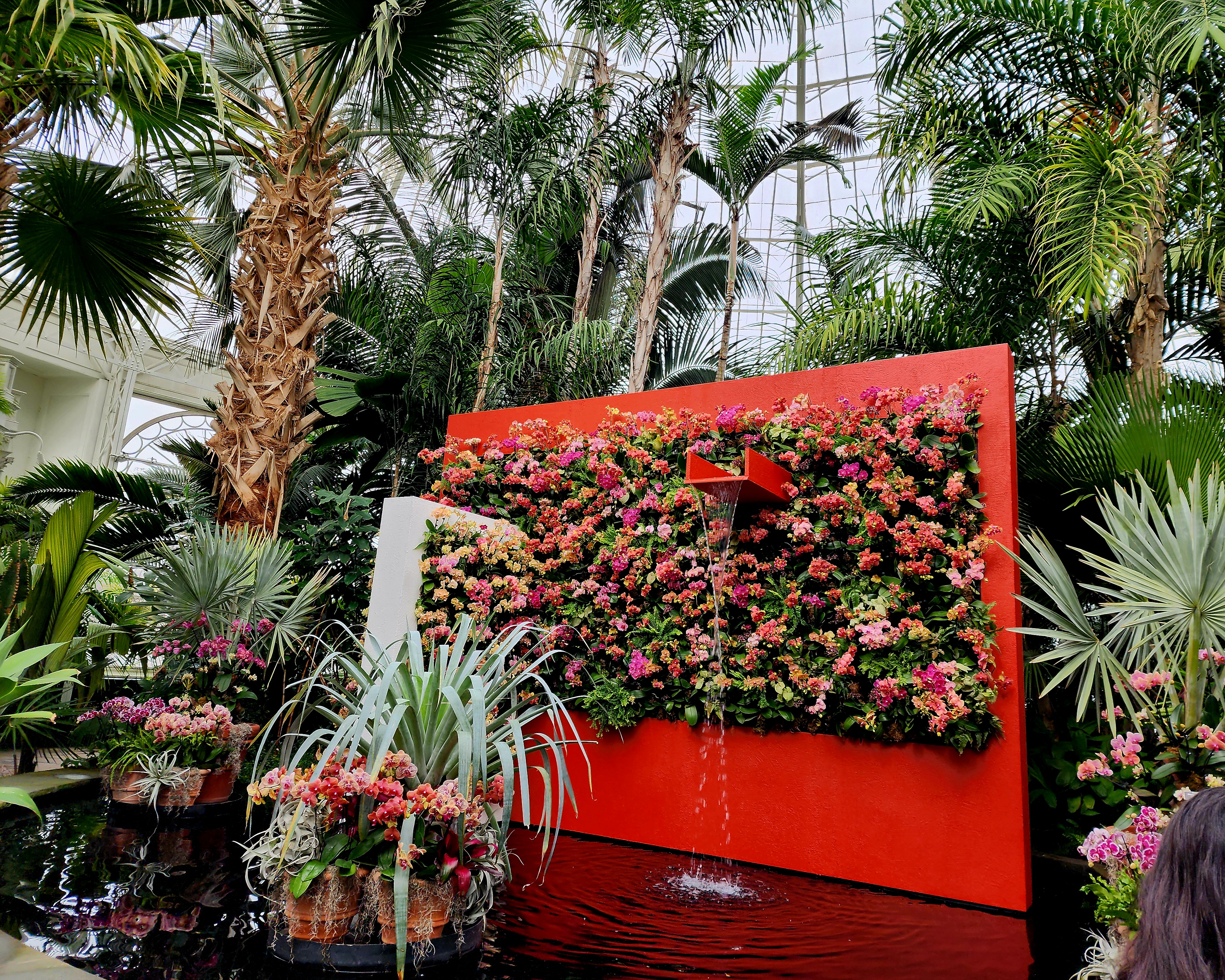 The Orchid Show: Mexican Modernism' at New York Botanical Garden