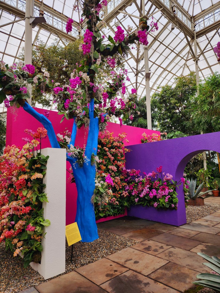 Rotanda  gallery which replicates the themes of the garden as fantastical magic and contrast, two elements Barragán believed in and features throughout his work (Carole Di Tosti)