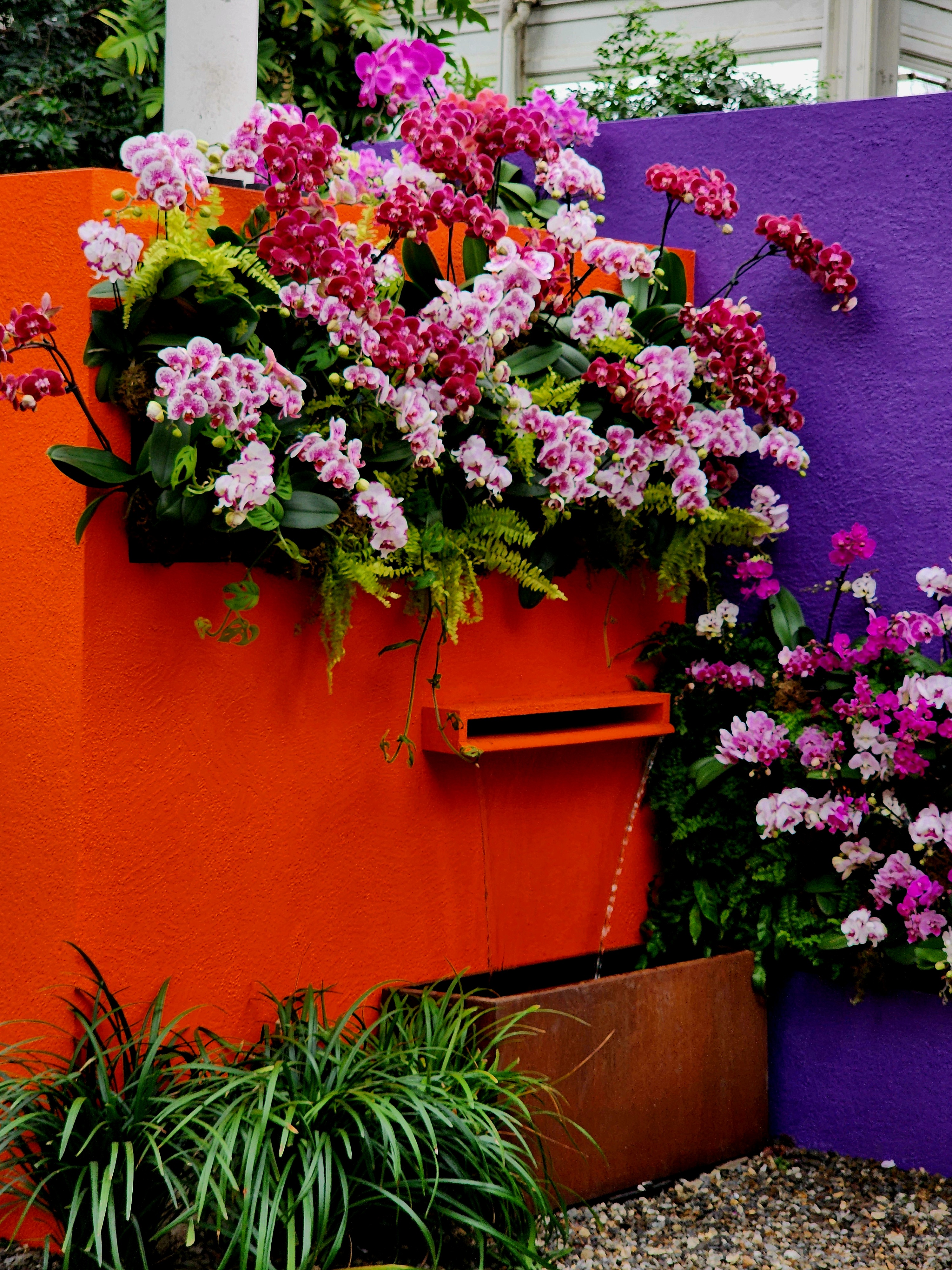 The Orchid Show: Mexican Modernism' at New York Botanical Garden