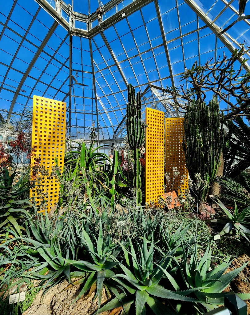 Lattice structures in the desert gallery (Carole Di Tosti)