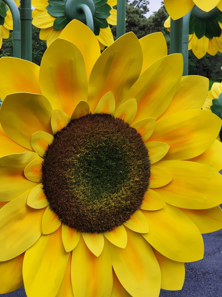 Created sunflower by Cyril Lancelin at NYBG 'Van Gogh's Flowers' (Carole Di Tosti)