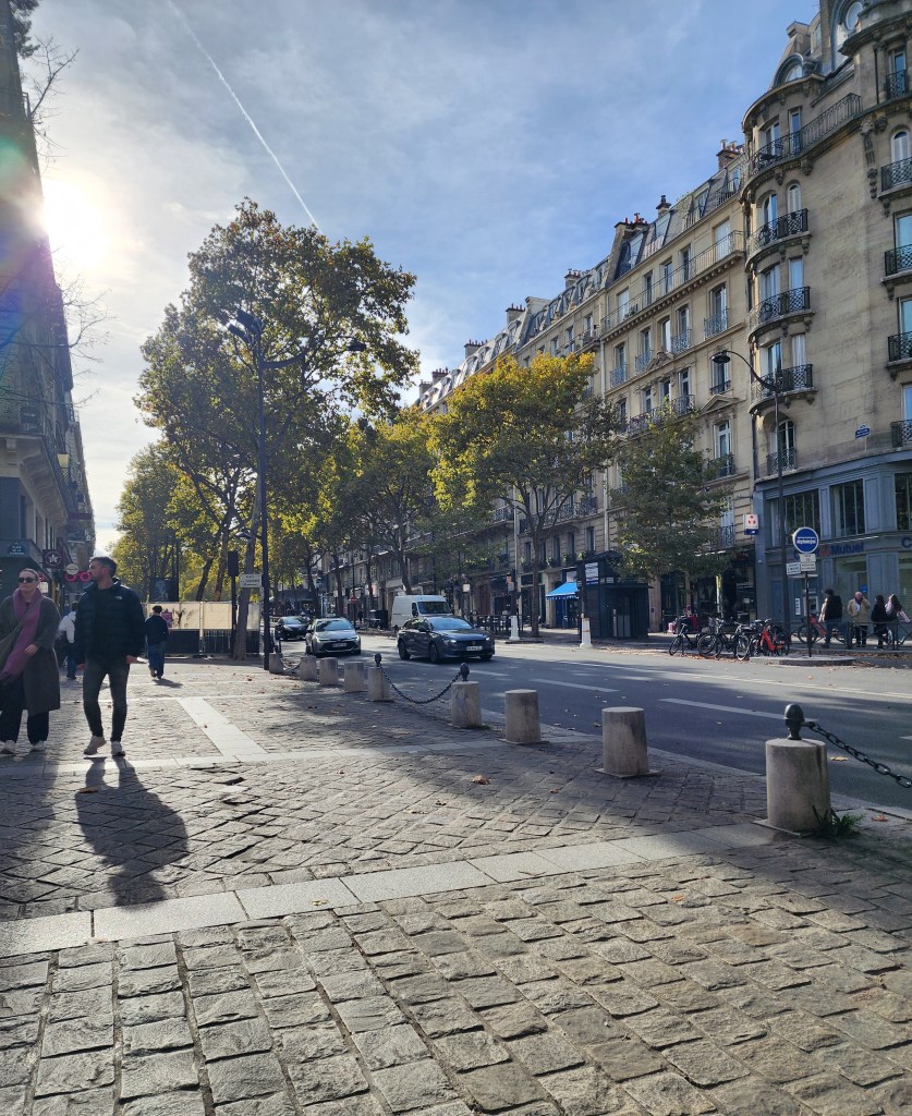 Boulevard Saint Michel, Paris (Carole Di Tosti)
